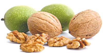 hồ đào nhân giúp tăng trí nhớ