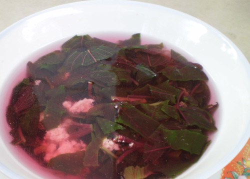 công dụng chữa bệnh từ dền đỏ